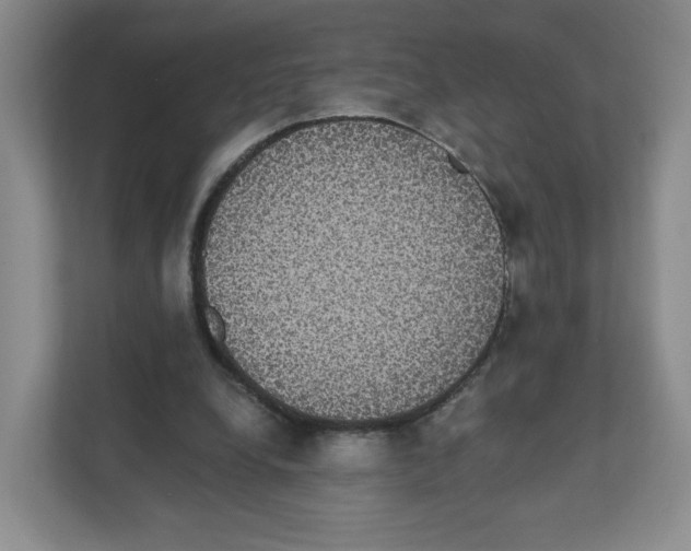 X0000111830248200908201157