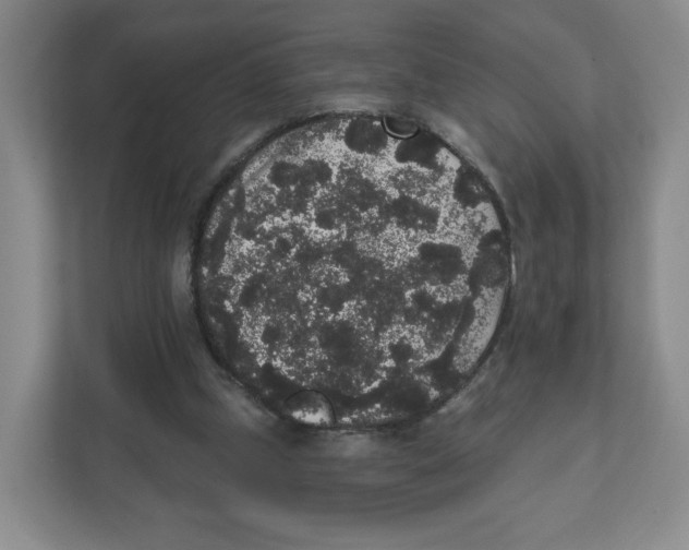 X0000111830249200908201157