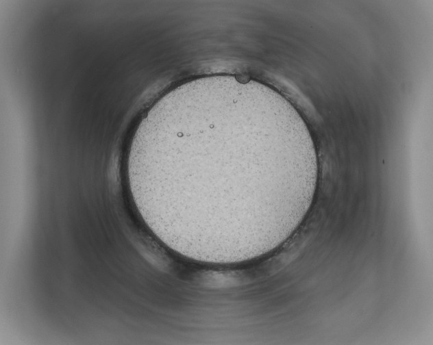 X0000111830250200908201157