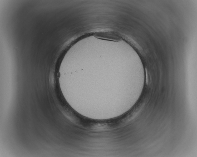 X0000111830252200908201157