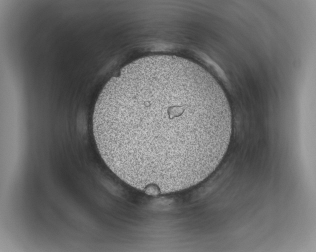 X0000111830257200908201157