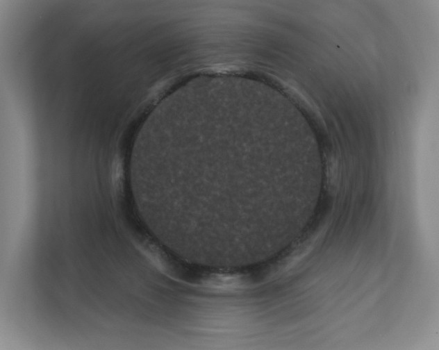 X0000111830260200908201157