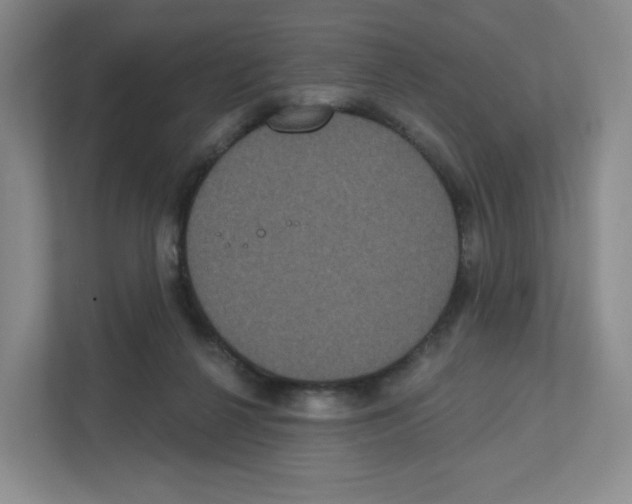 X0000111830264200908201157