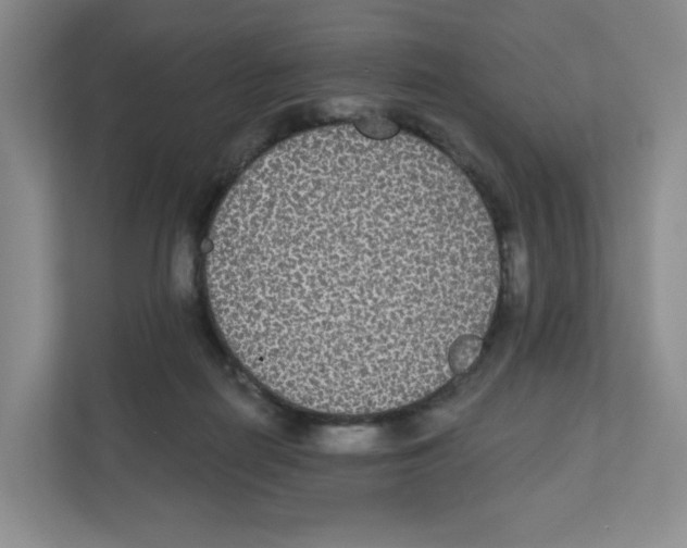 X0000111830266200908201157