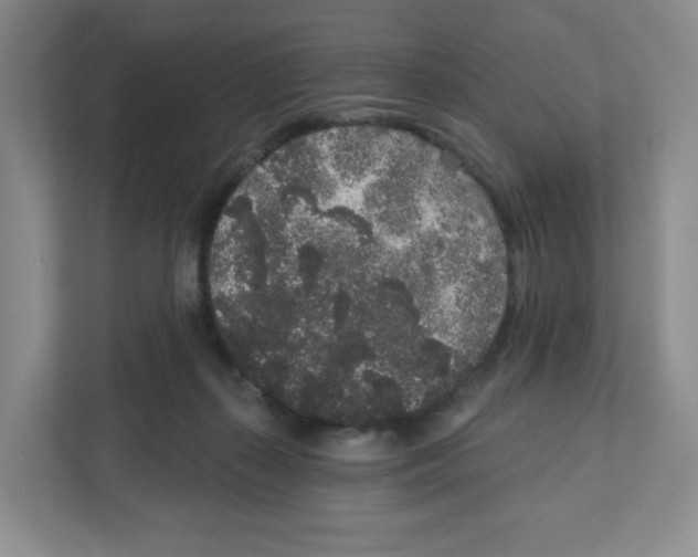 X0000111830267200908201157