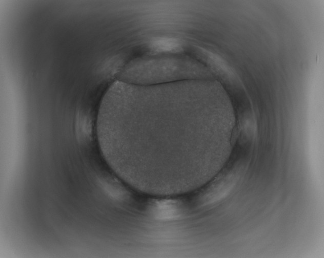 X0000111830268200908201157