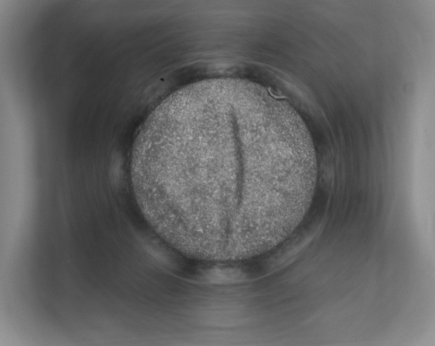 X0000111830270200908201157