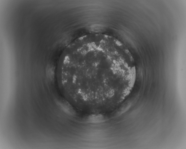 X0000111830271200908201157