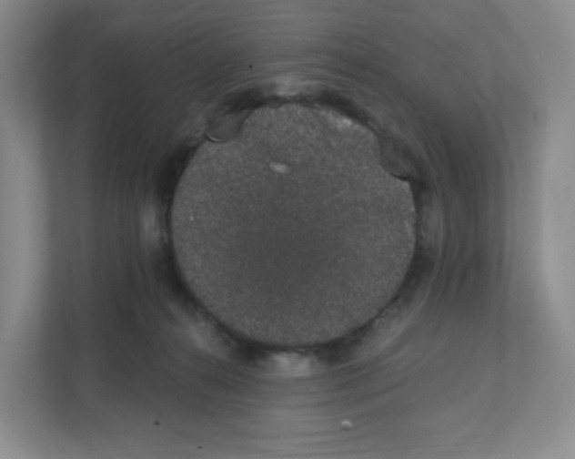 X0000111830272200908201157