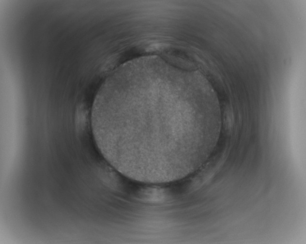 X0000111830276200908201157