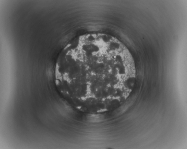 X0000111830277200908201157