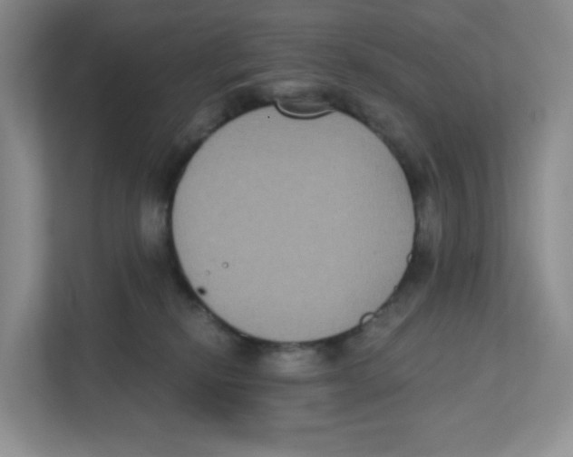 X0000111830278200908201157