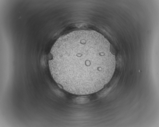 X0000111830280200908201157