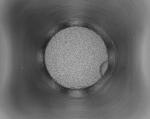 X0000111830282200908201157