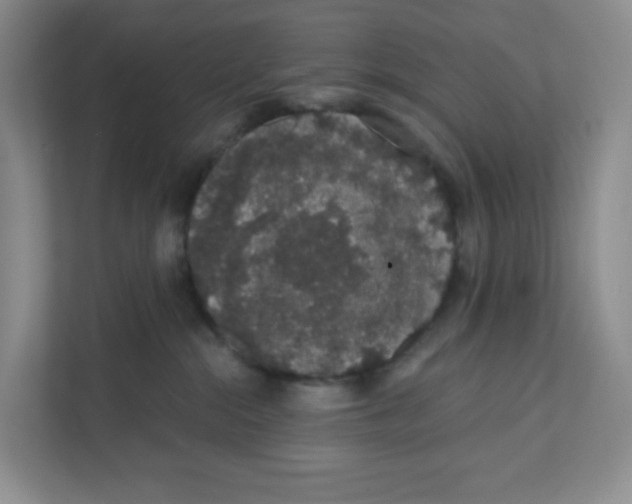 X0000111830284200908201157