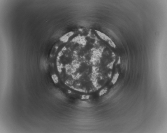 X0000111830285200908201157