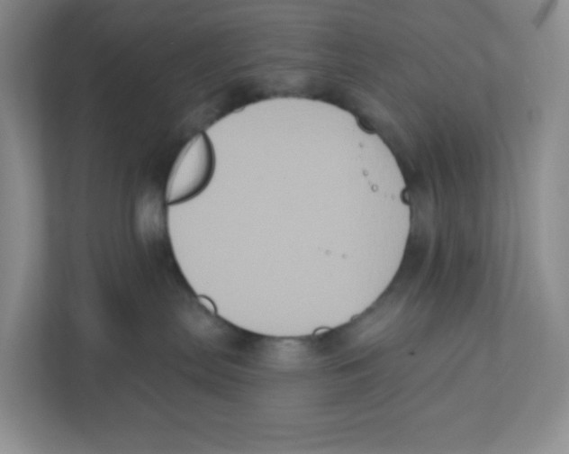 X0000111830287200908201157