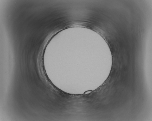 X0000111830289200908201157