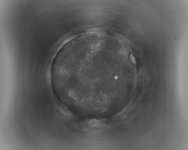 X0000111830290200908201157