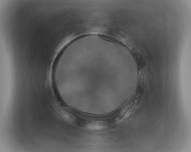 X0000111830292200908201157