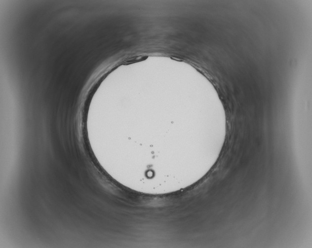 X0000111830293200908201157