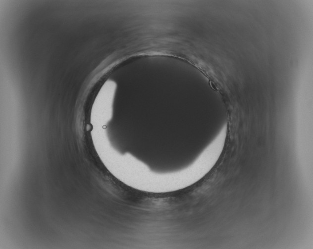 X0000111830295200908201157