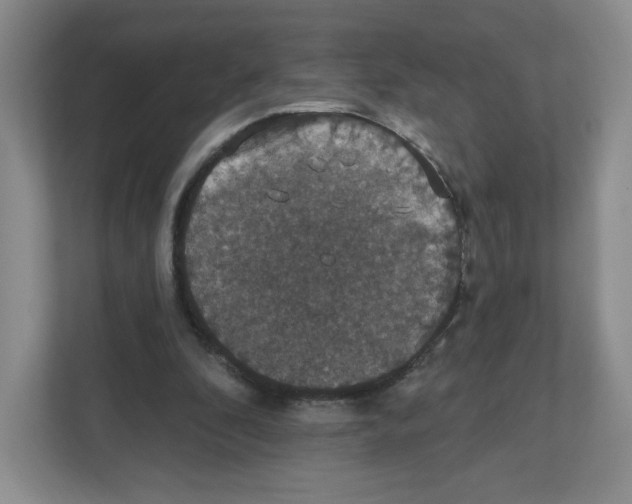 X0000111830296200908201157