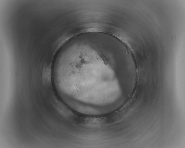 X0000111830297200908201157