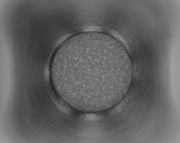 X0000111830298200908201157