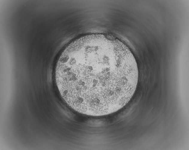 X0000111830299200908201157