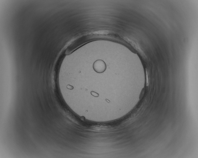 X0000111830300200908201157