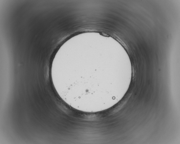 X0000111830301200908201157