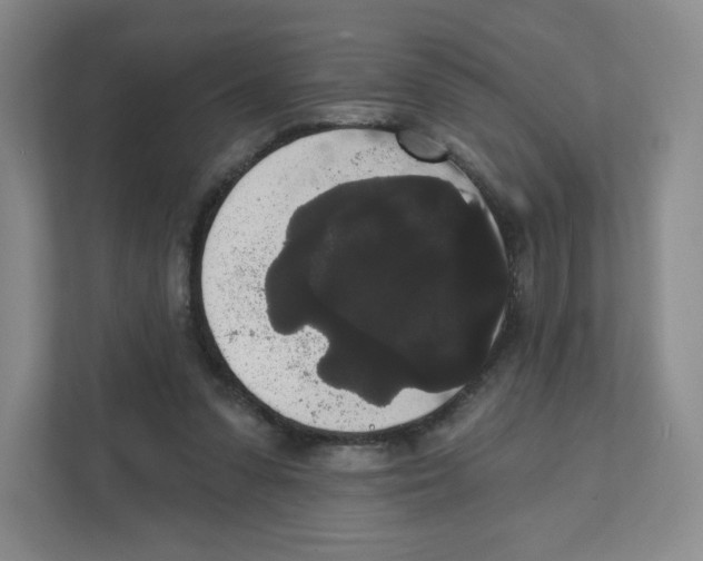 X0000111830303200908201156