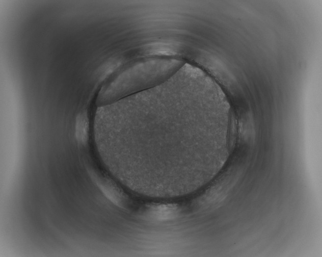 X0000111830304200908201156