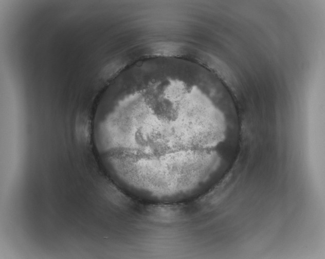 X0000111830305200908201156