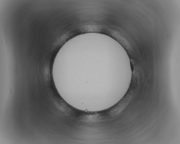 X0000111830306200908201156