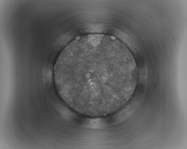 X0000111830309200908201156