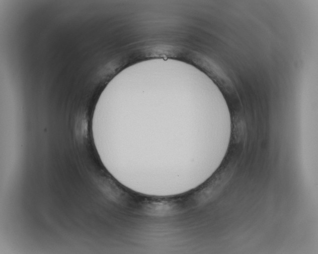 X0000111830310200908201156