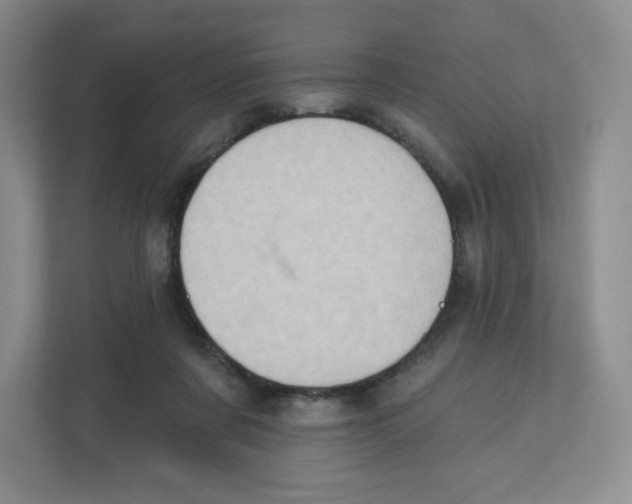 X0000111830311200908201156