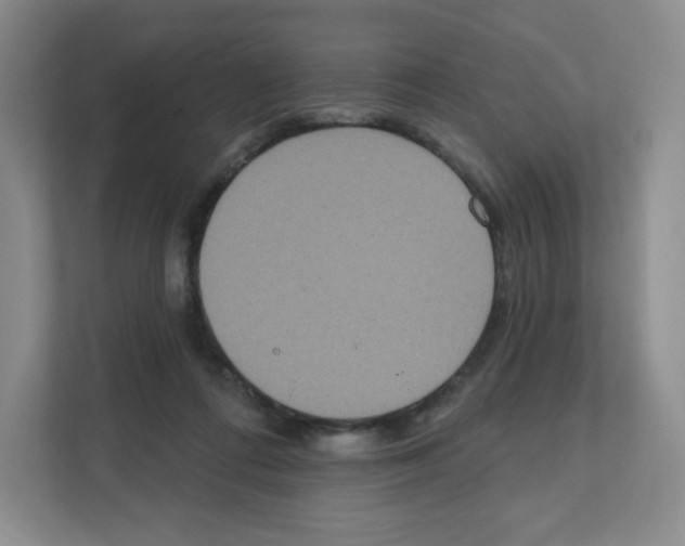 X0000111830312200908201156