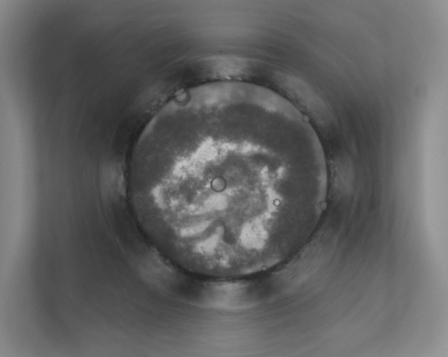 X0000111830313200908201156