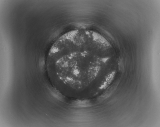 X0000111830314200908201156