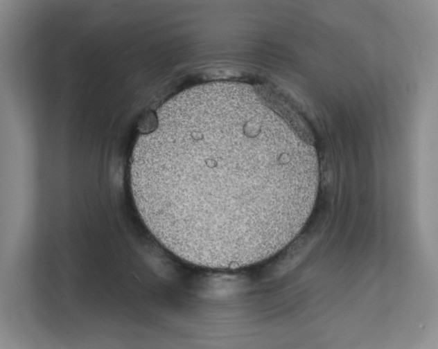 X0000111830315200908201156