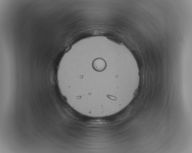 X0000111830316200908201156