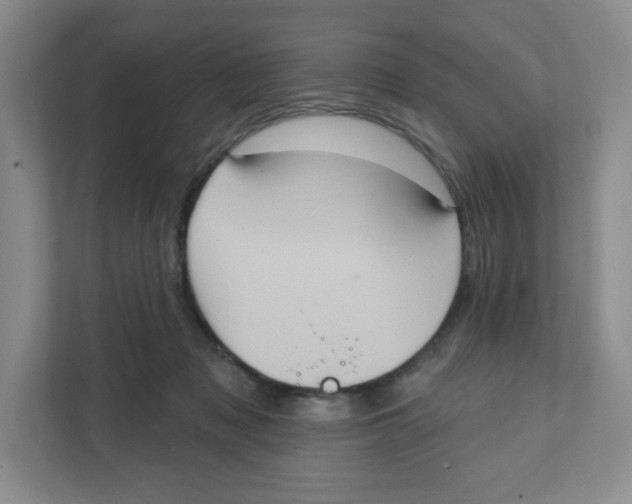 X0000111830317200908201156