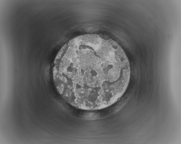 X0000111830319200908201156