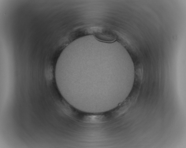 X0000111830323200908201156