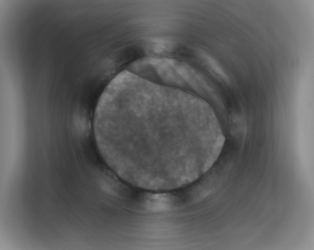 X0000111830324200908201156