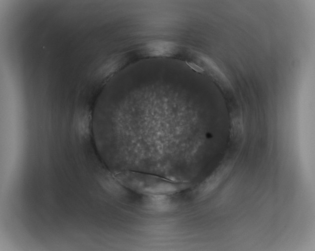 X0000111830325200908201156