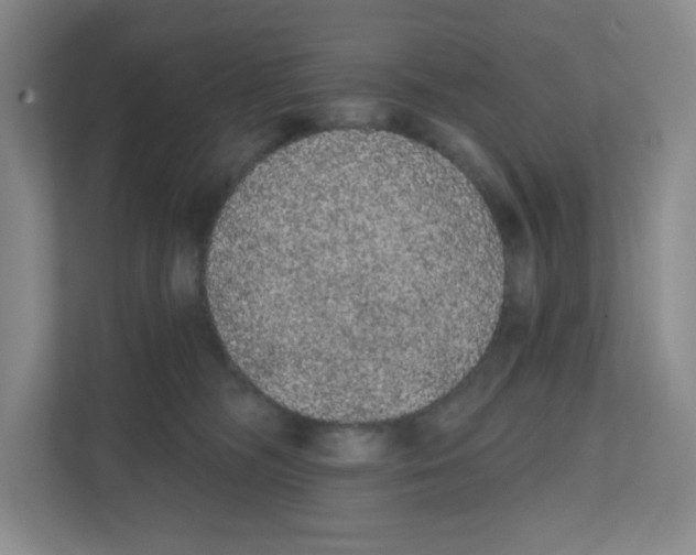 X0000111830326200908201156